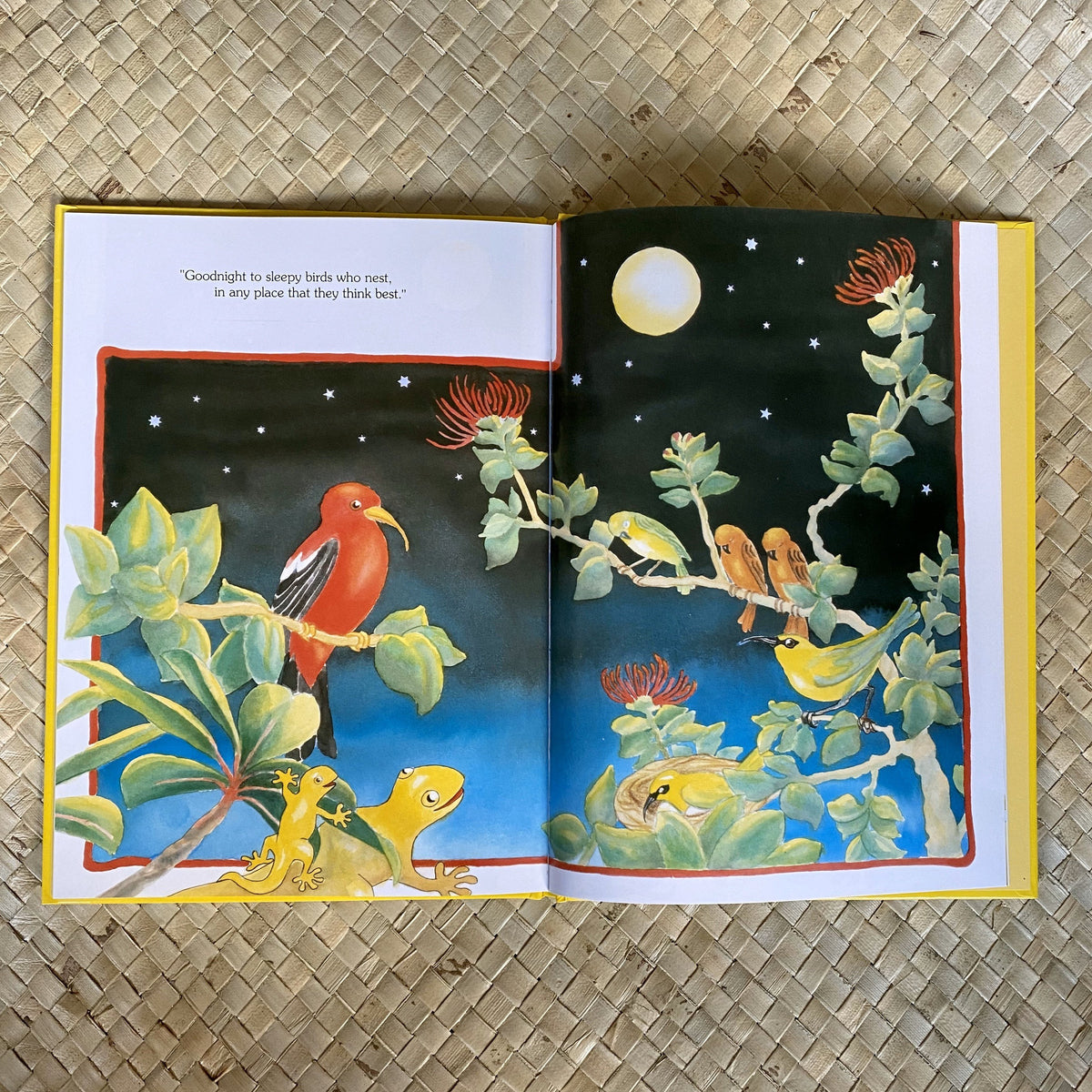 The Goodnight Gecko by Gill McBarnet | Hawaiian Children's Books